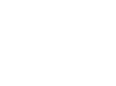 Invictus Immobilien GmbH